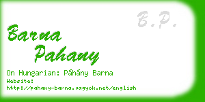 barna pahany business card