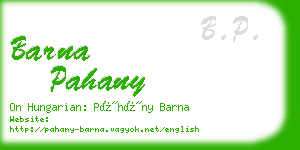 barna pahany business card